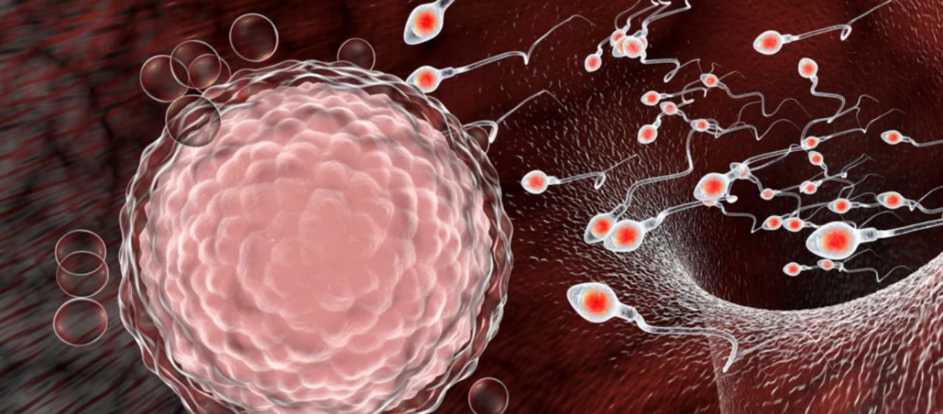 Νέα έρευνα: Ο κορωνοϊός δεν εντοπίζεται στο ανθρώπινο σπέρμα